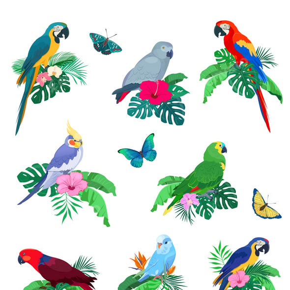 Parrots on Tropical Leaves