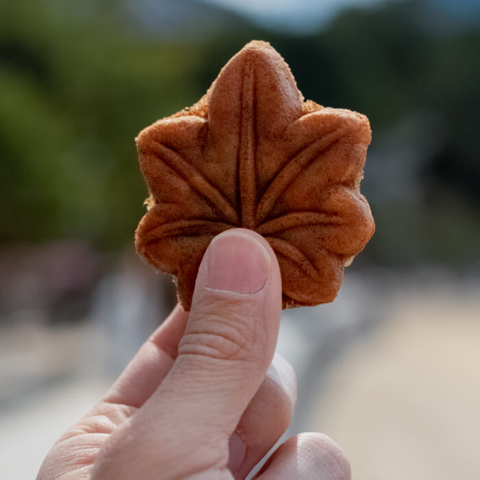 Seasonal wagashi