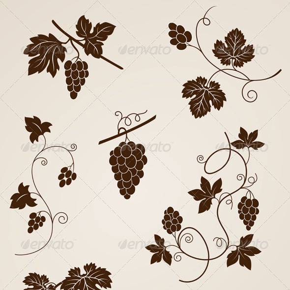 Grape Vine Design Elements