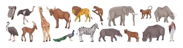 Safari and Jungle Creatures Set Wild Animals