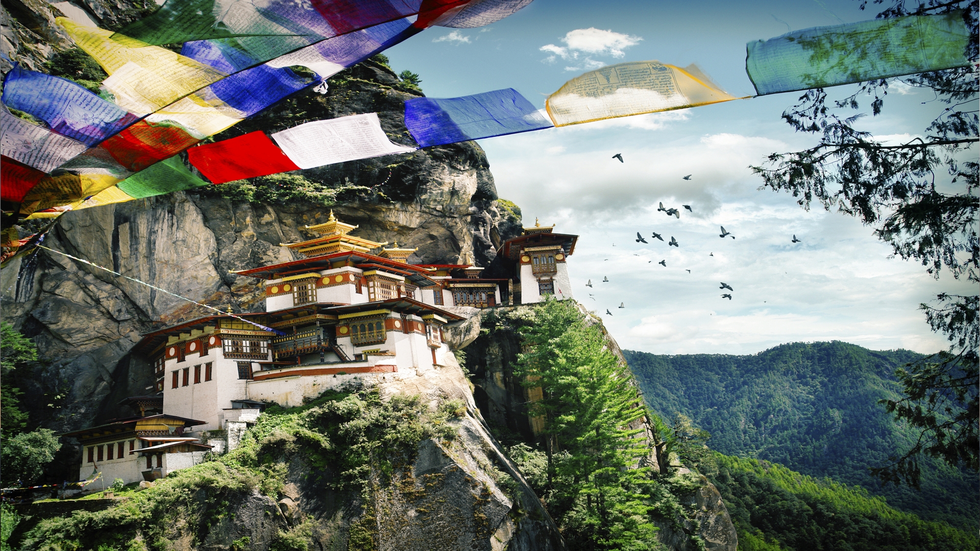 tigers-nest-on-cliff-edge-in-bhutan-hero-shot